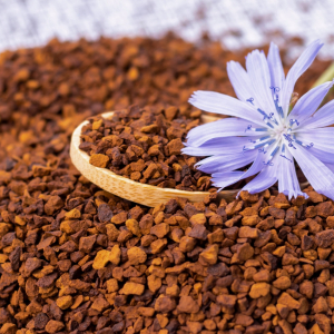 Какой вред может принести цикорий: правда, которую принято утаивать